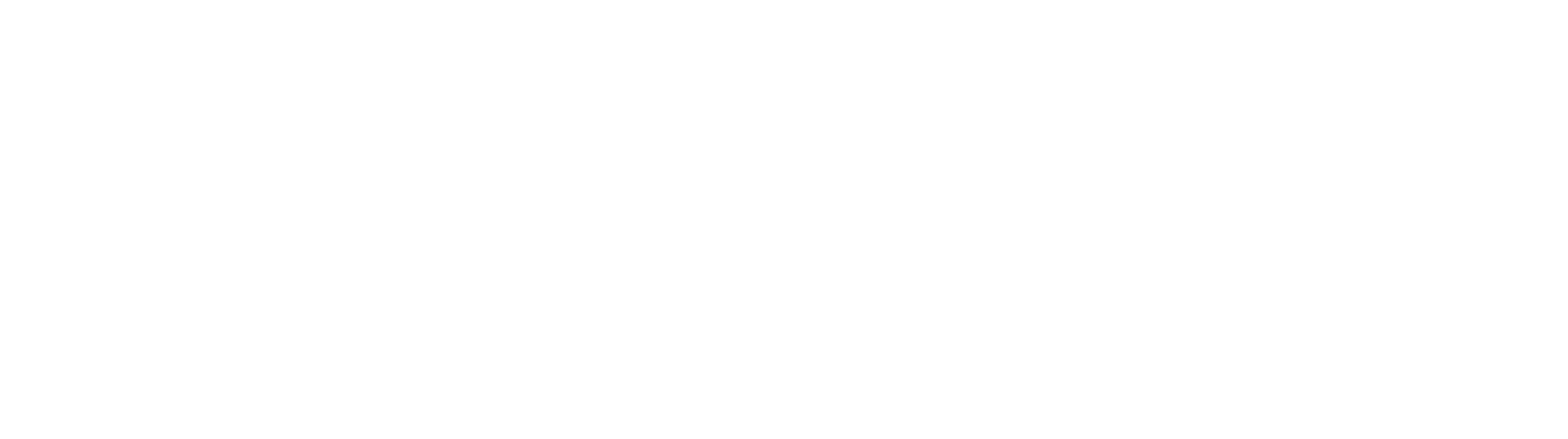 Rabe logo wit